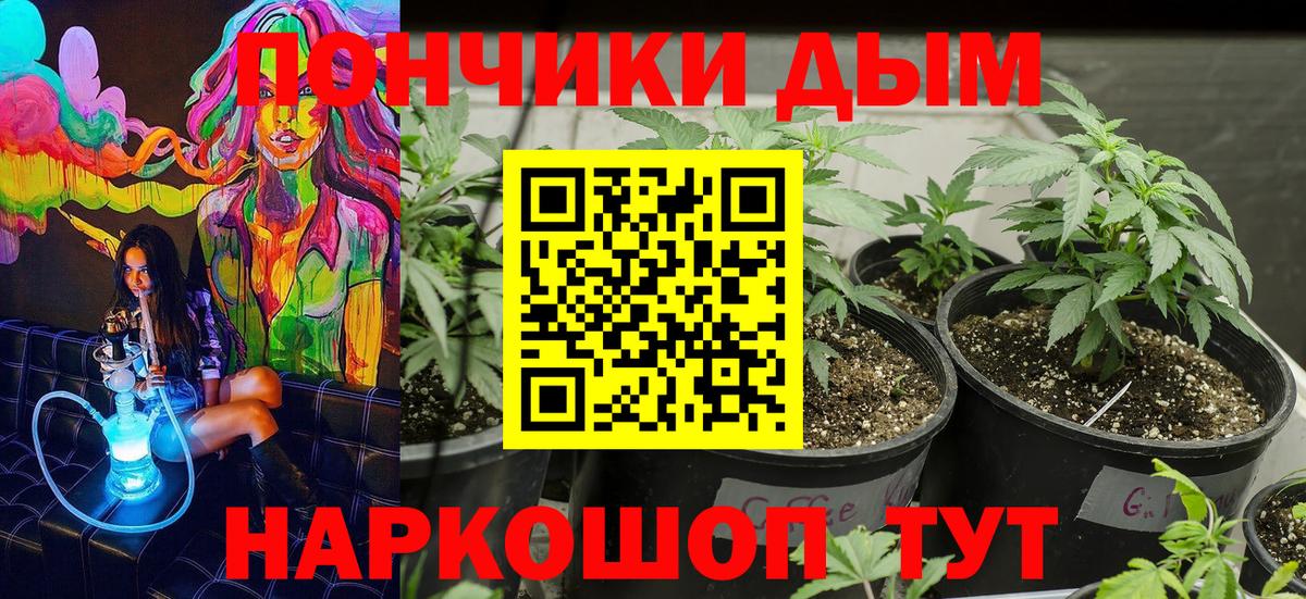 Бошки марихуана OG Kush Донецк